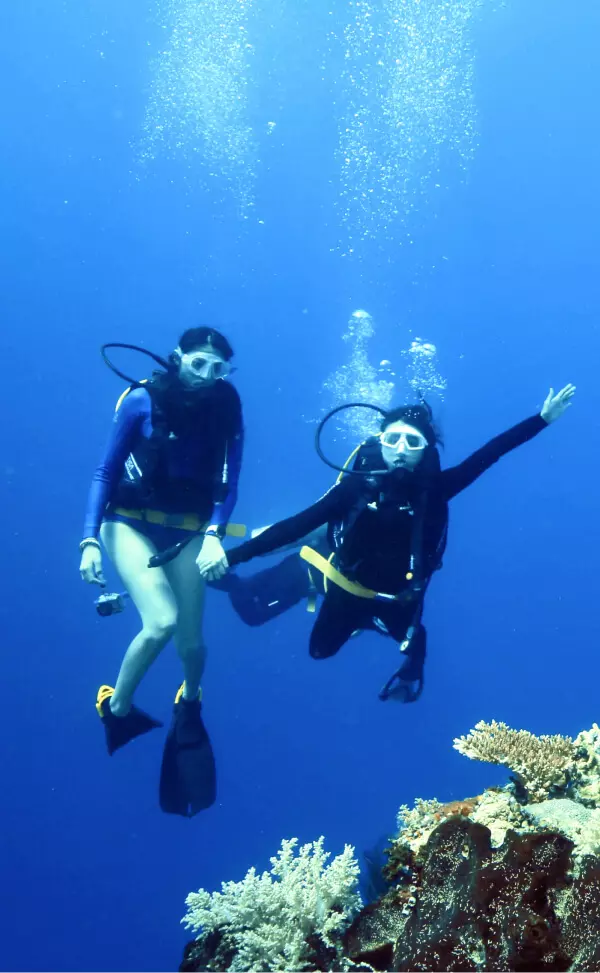 dive vacation