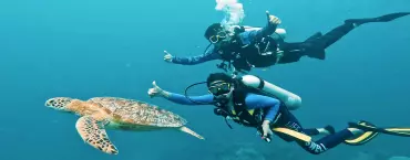 snorkeling tour