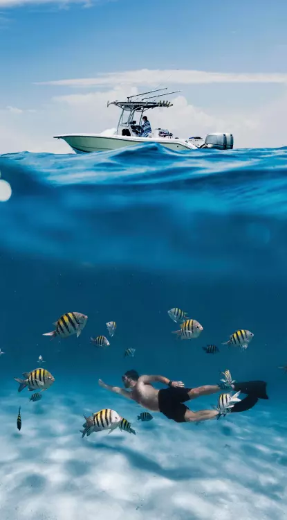 padi dive resorts