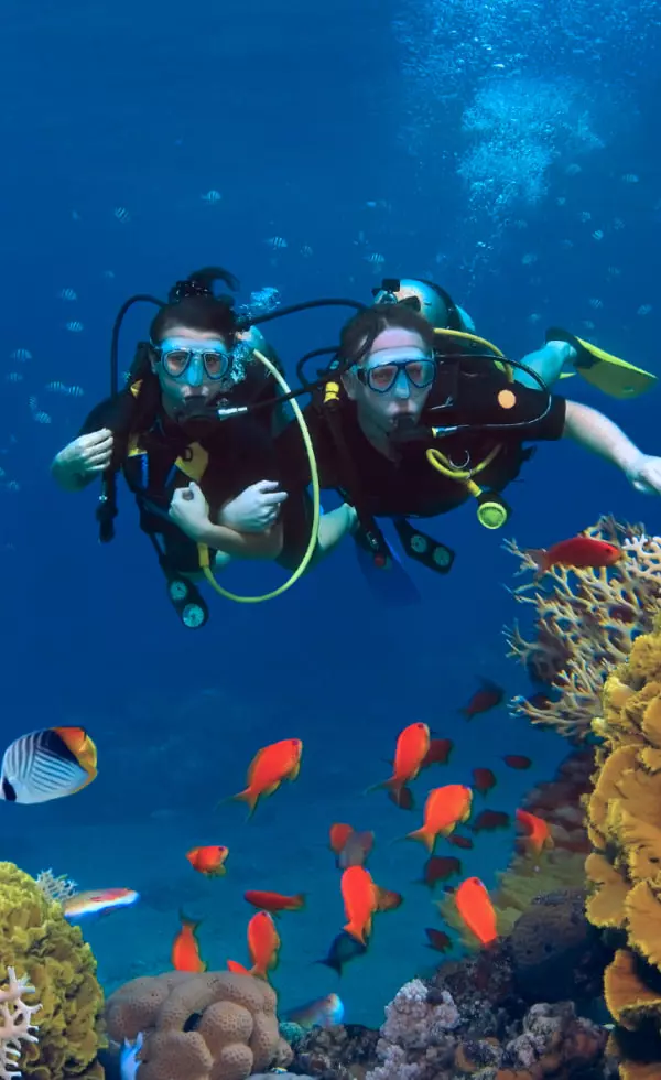sienna resort dive package