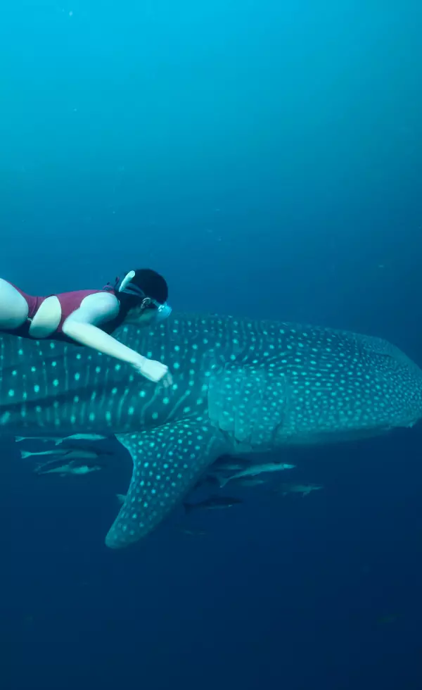 sienna resort diving holiday