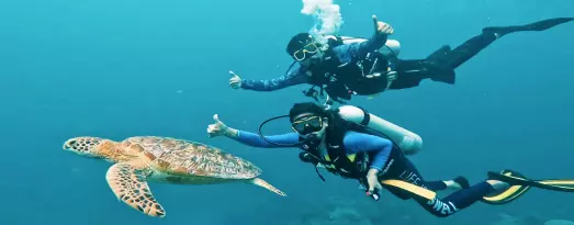 diving 25093821618