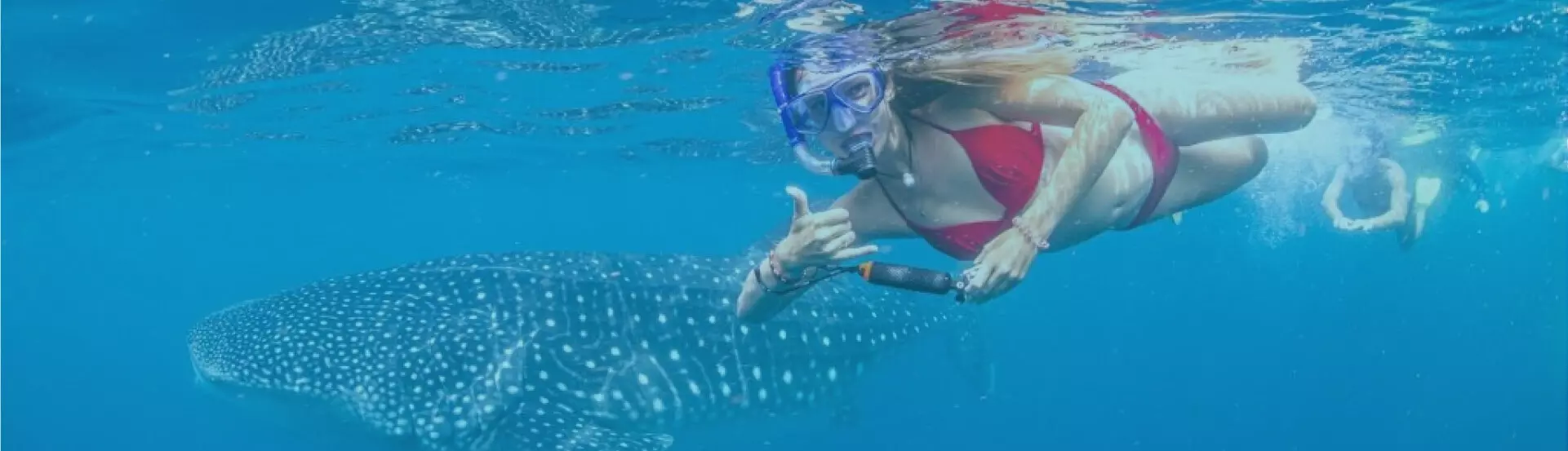 hundreds of unforgettable experiences at sienna resort 25090208901