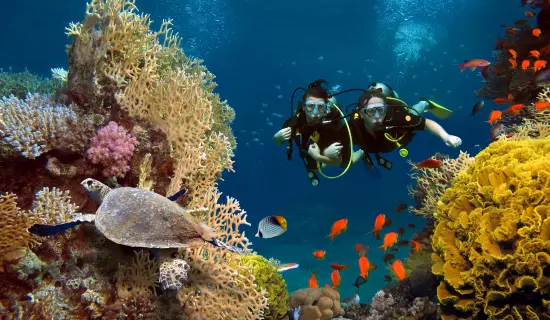 snorkeling tour maratua island