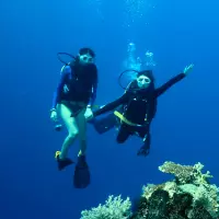 maratua dive centre