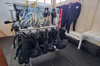snorkeling tour