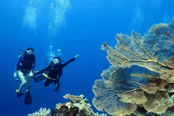 scuba dive vacation