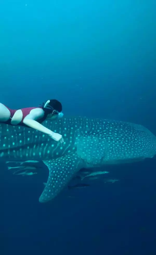 sienna resort diving holiday