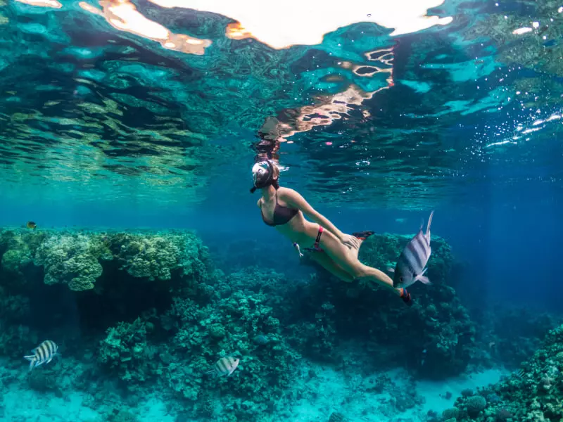 dive resort indonesia
