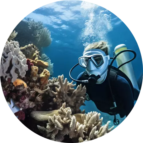 dive center 03115409246