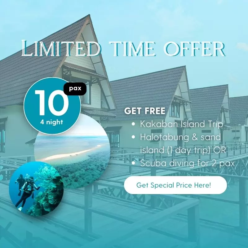 dive resort promo