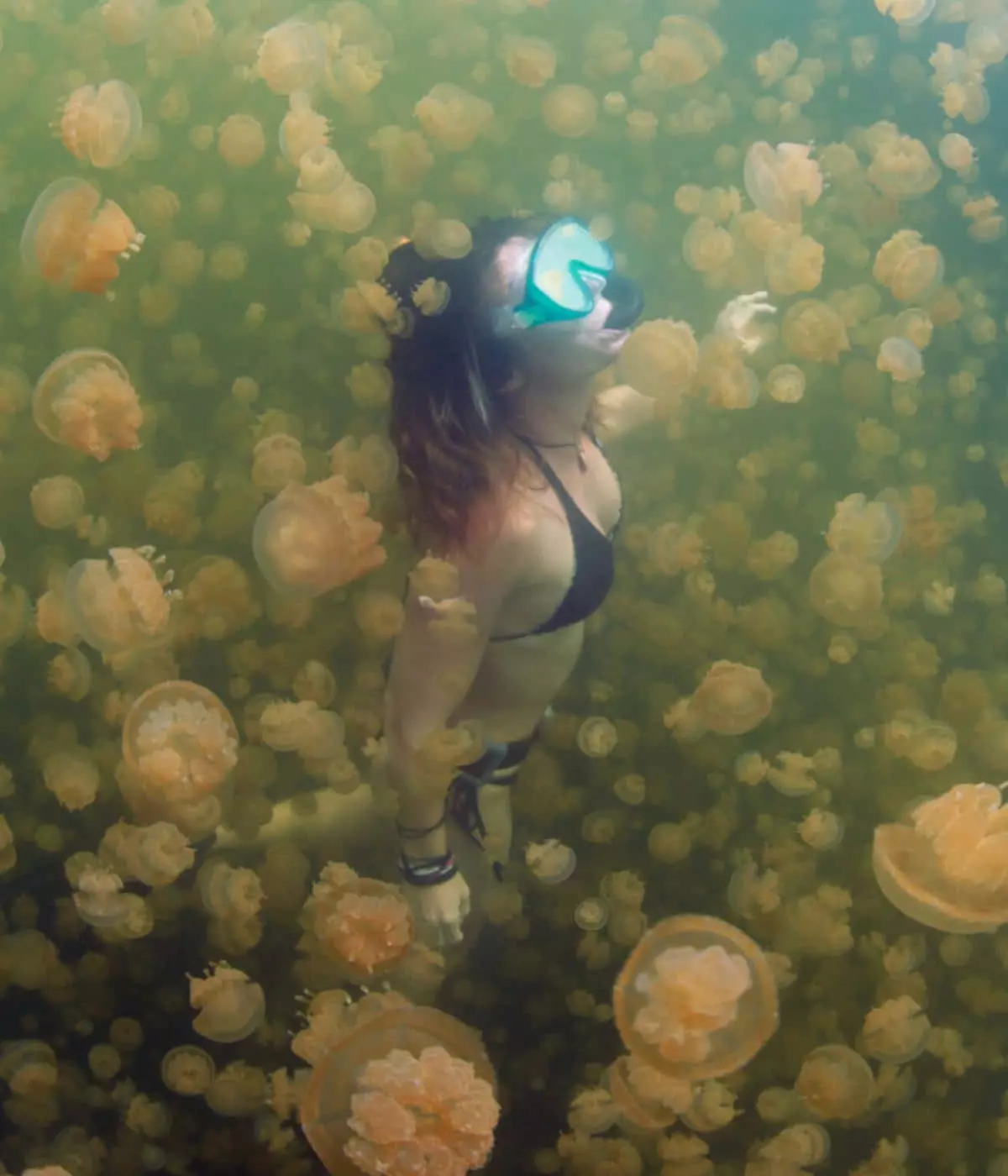 Jellyfish Snorkeling with Sienna Resort at Kakaban Island
