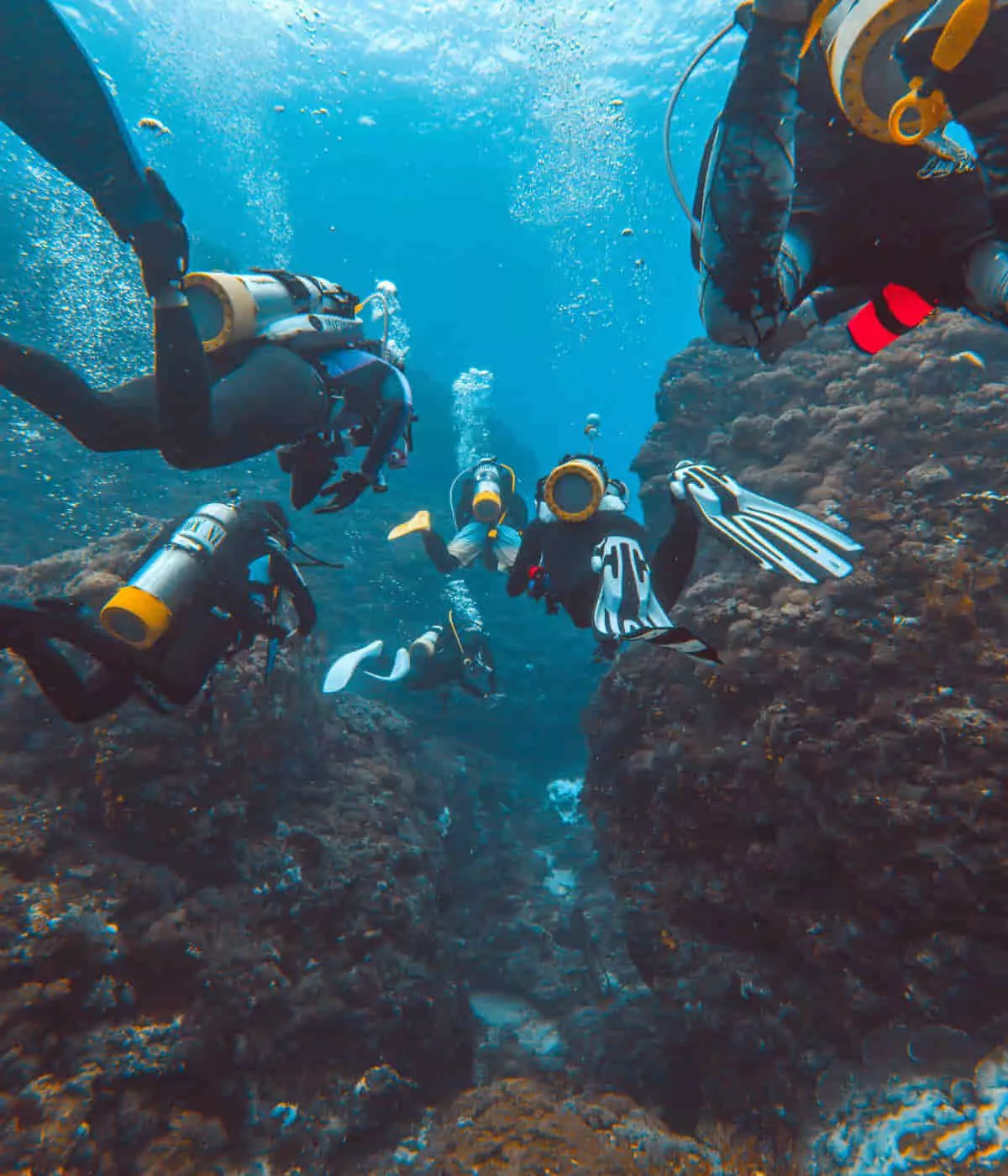 Fun for All: Certified Diving Sessions at Sienna Resort Maratua