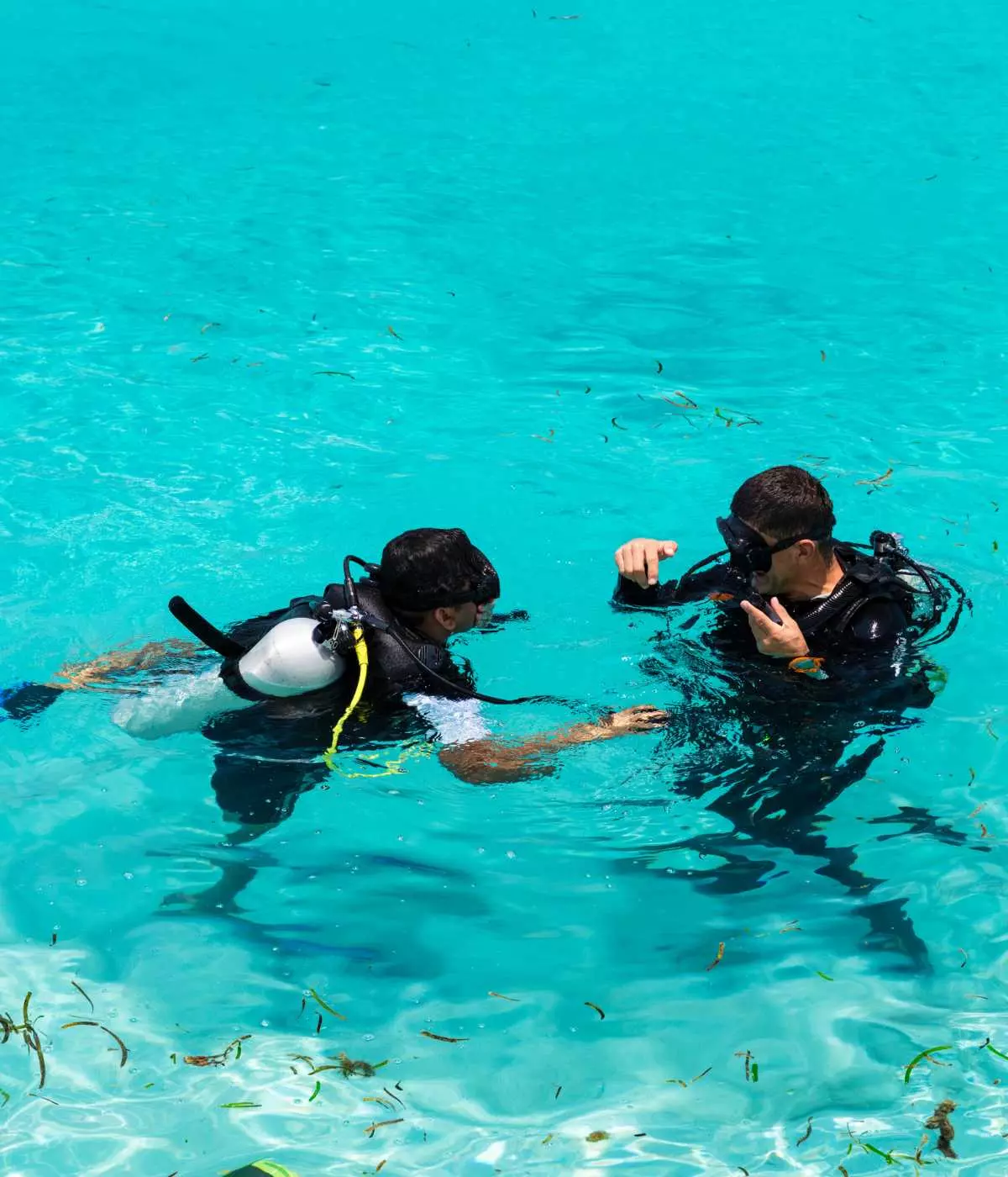 Diving Tips for Beginners, How to Prepare for Your First Dive