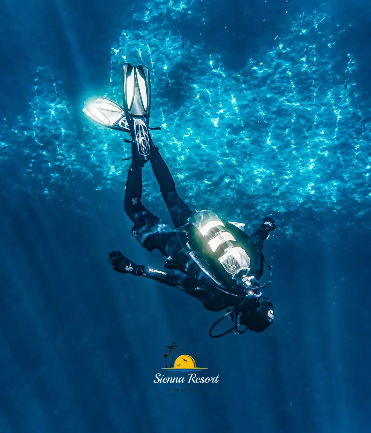 Top 5 Scuba Diving Types, Your Guide to Underwater Exploration