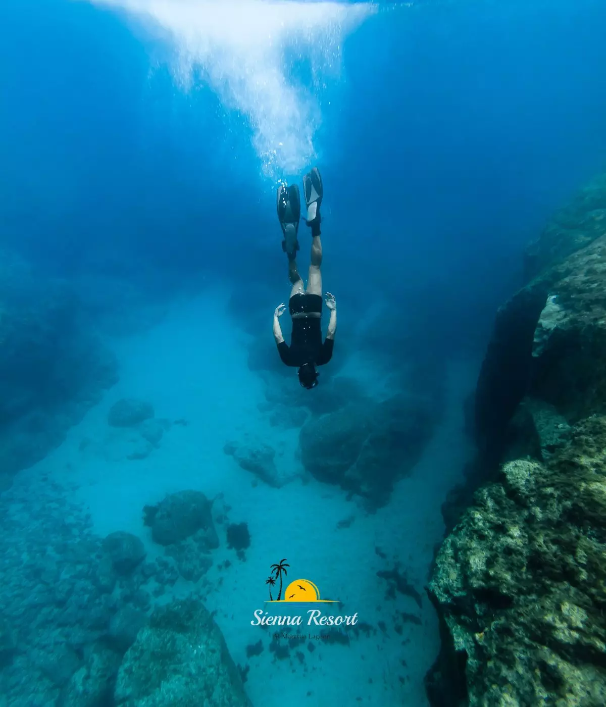 Free Diving vs Scuba Diving, What’s the Difference and Which Should You Try?