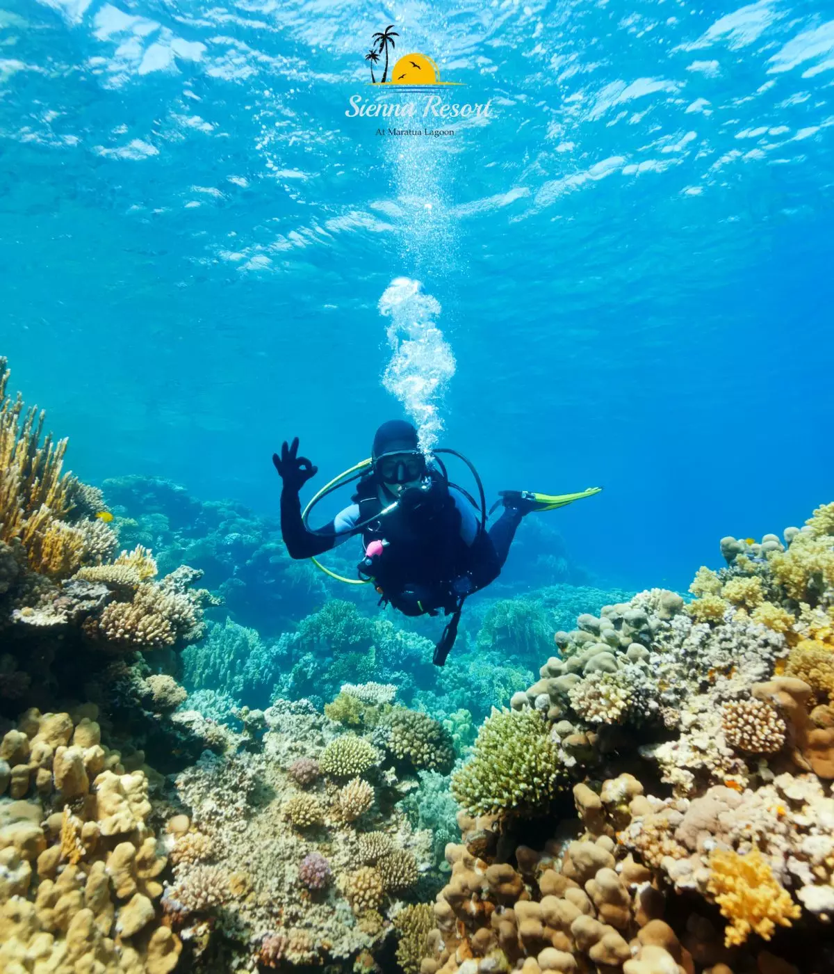 Big Fish Country Maratua, Best Dive Sites Near Sienna Resort