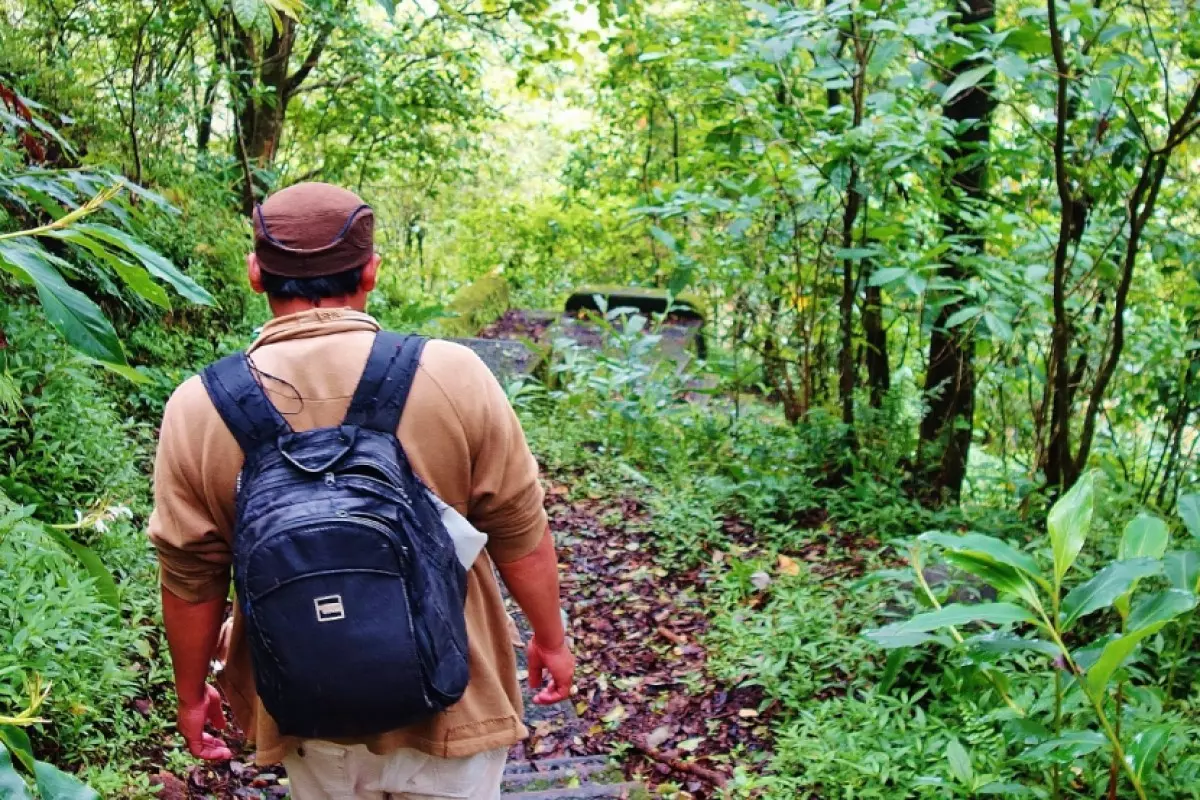 1. Forest Trekking, Discover the Unseen