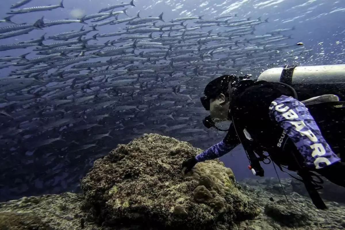 Why Choose Sienna Resort for Your Diving Adventure?