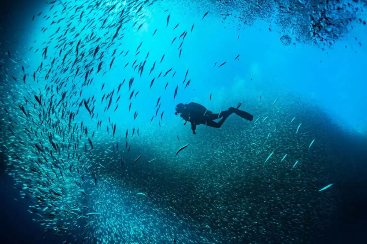 PADI Diving Holiday Package at Sienna Resort