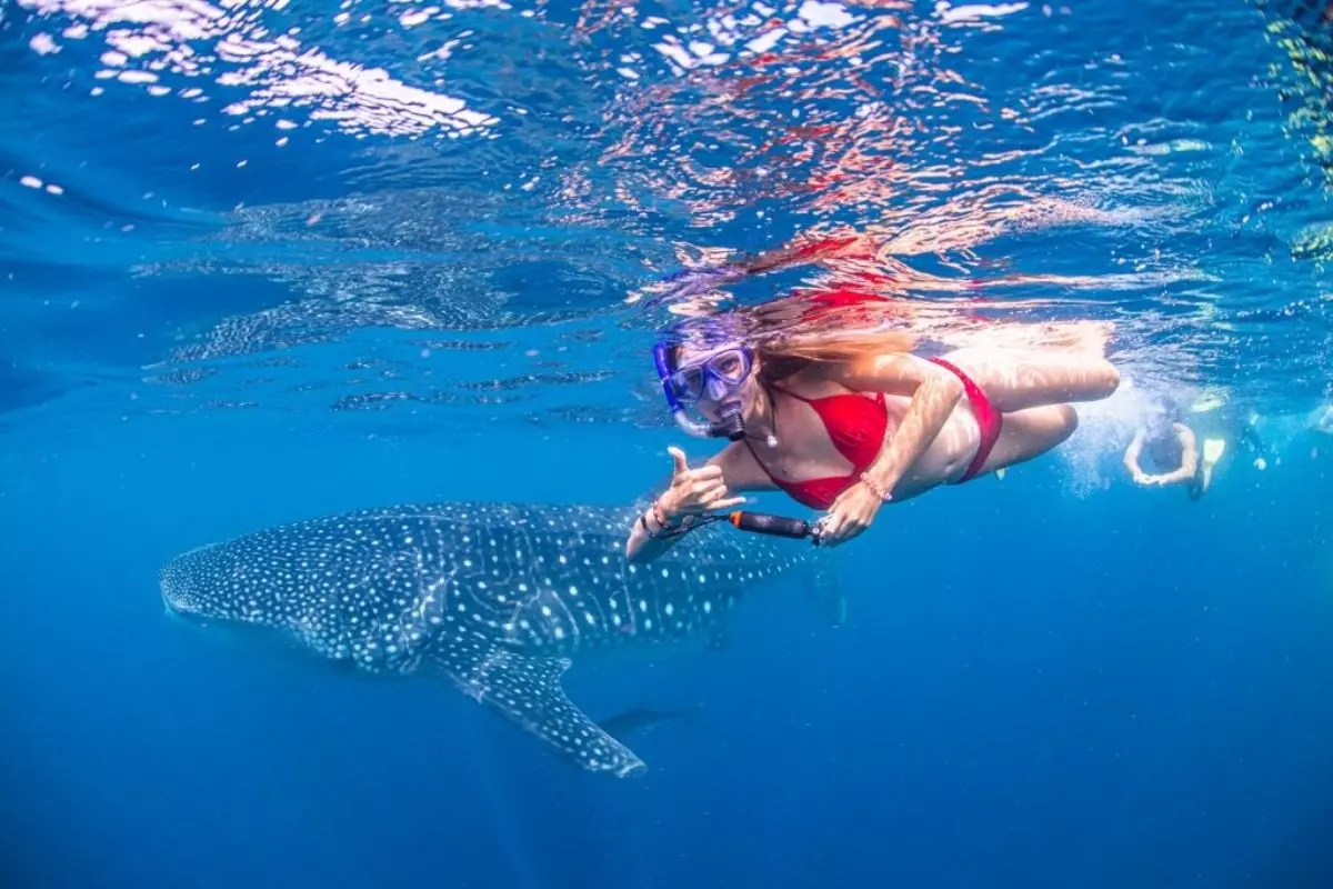 Beyond Snorkeling: Packages for Scuba Diving