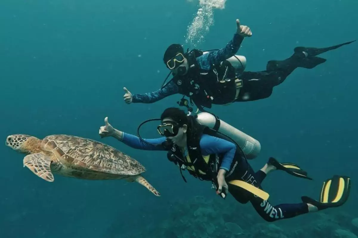 Expertly Guided Dive Expeditions