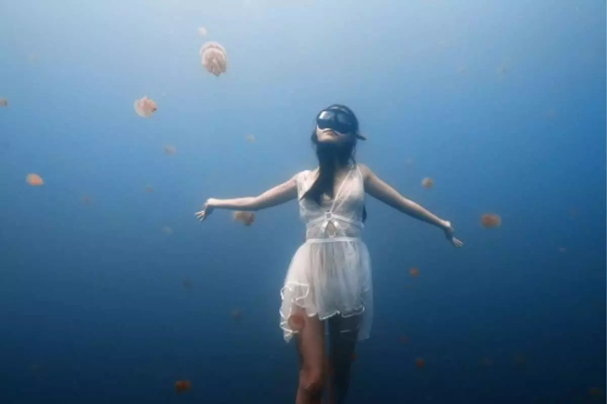 Snorkel with Stingless Jellyfish