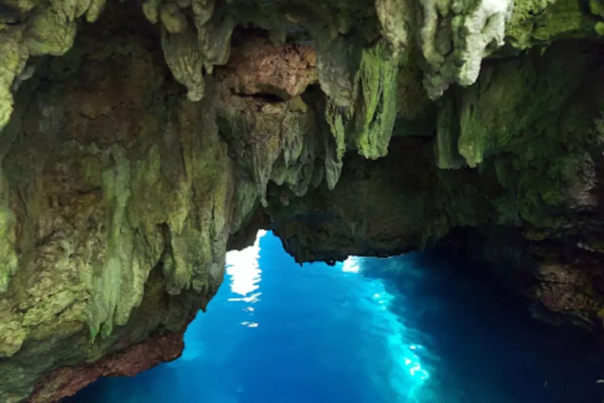 Beyond the Jellyfish Lake