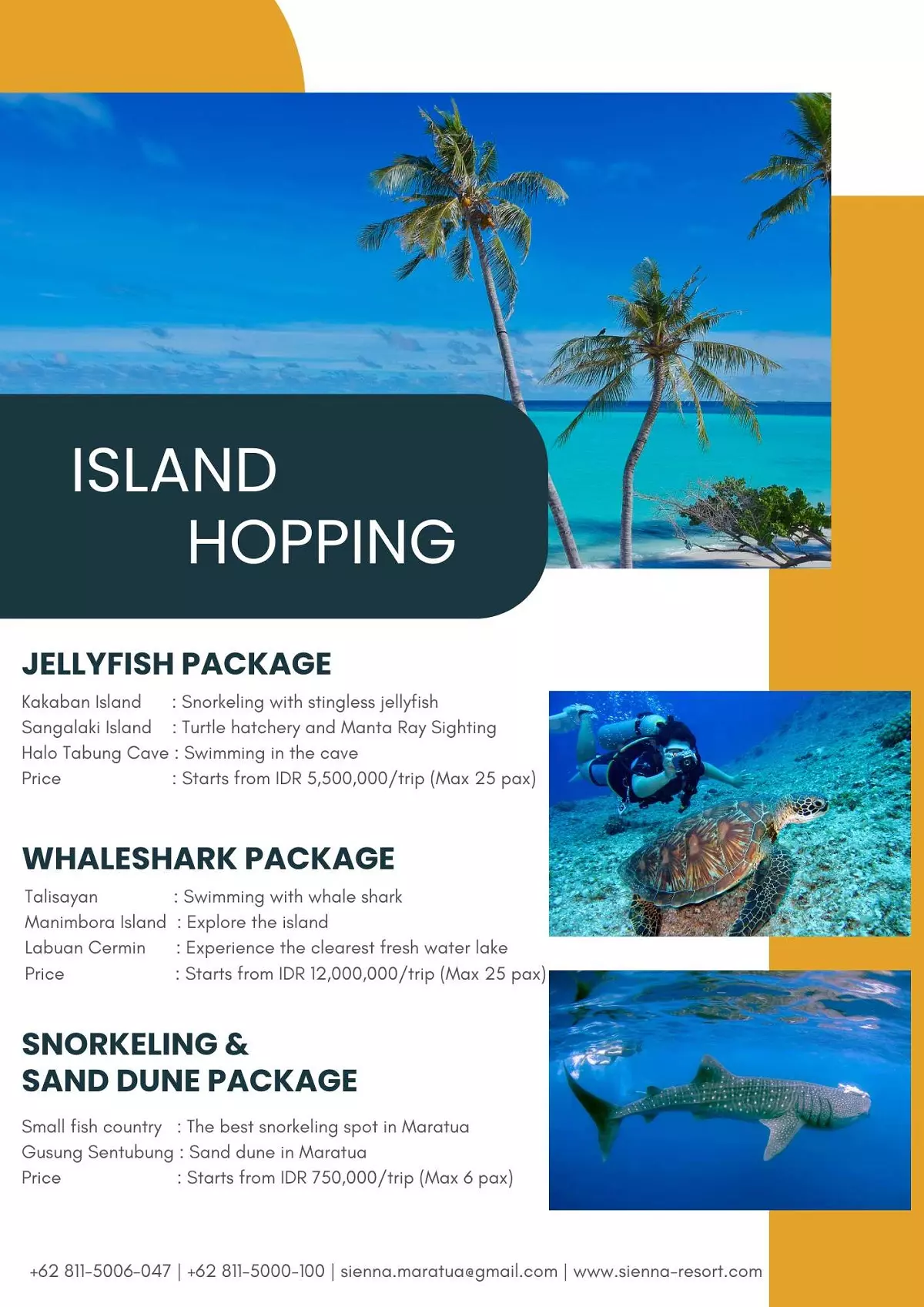 Whaleshark Trip