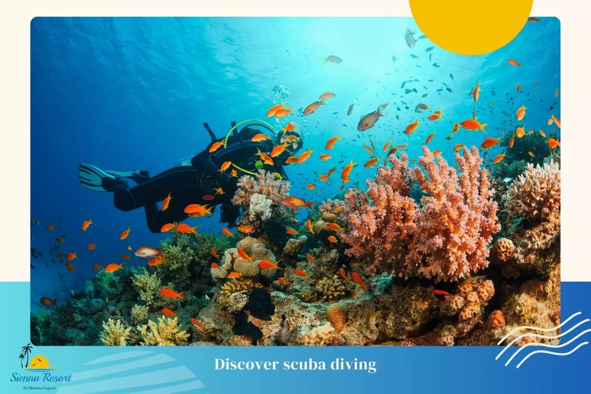 1. Discover Scuba Diving