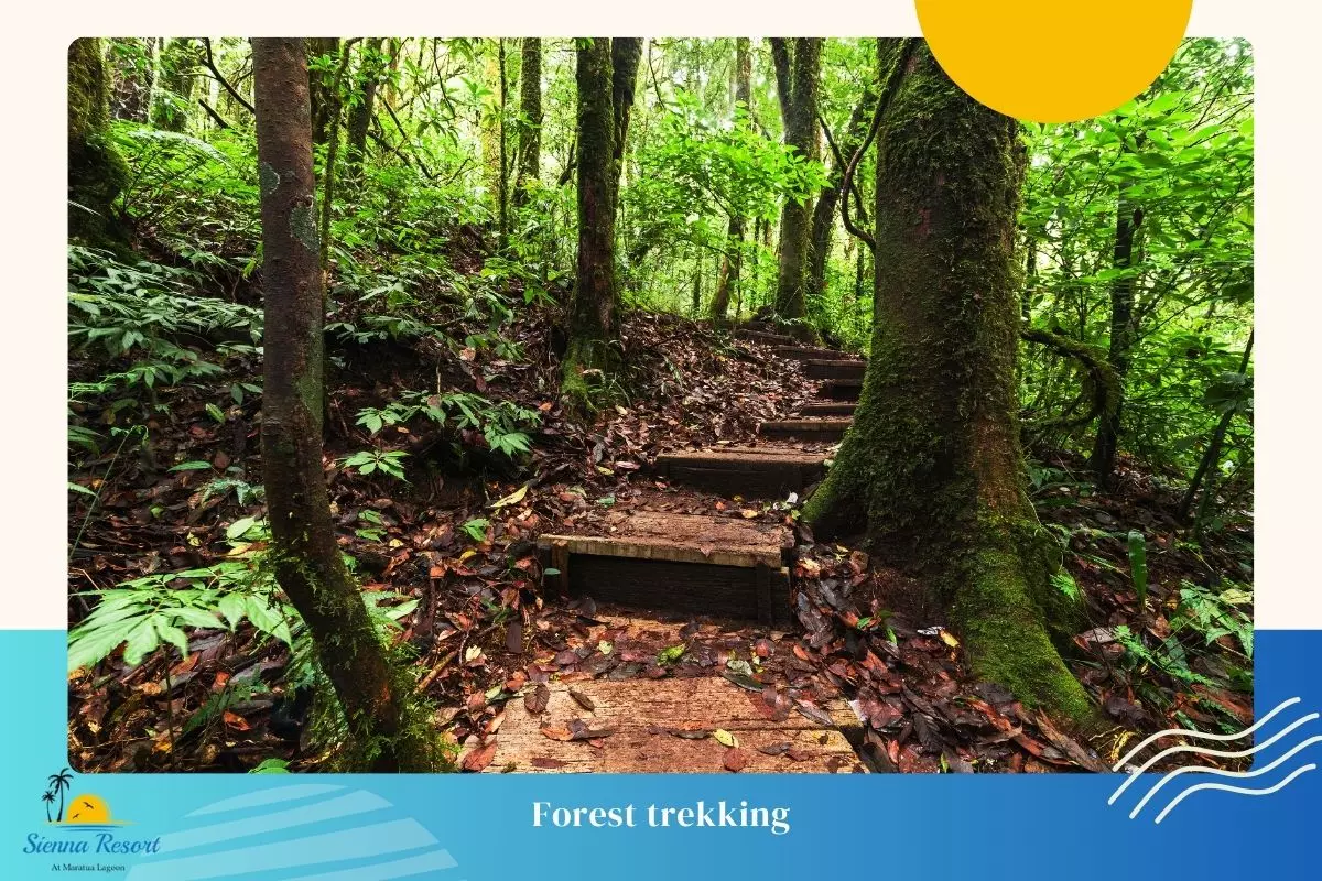Explore Nature with Forest Trekking