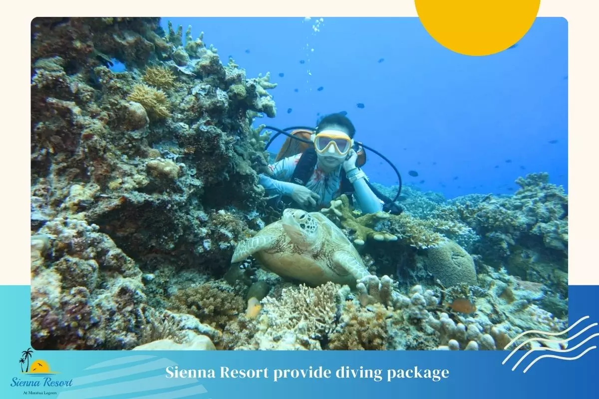 3. World-Class Diving and Snorkeling
