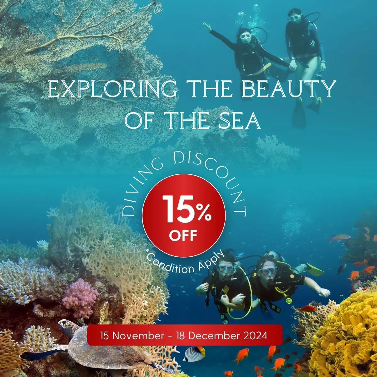 2. Explore the Beauty of the Sea