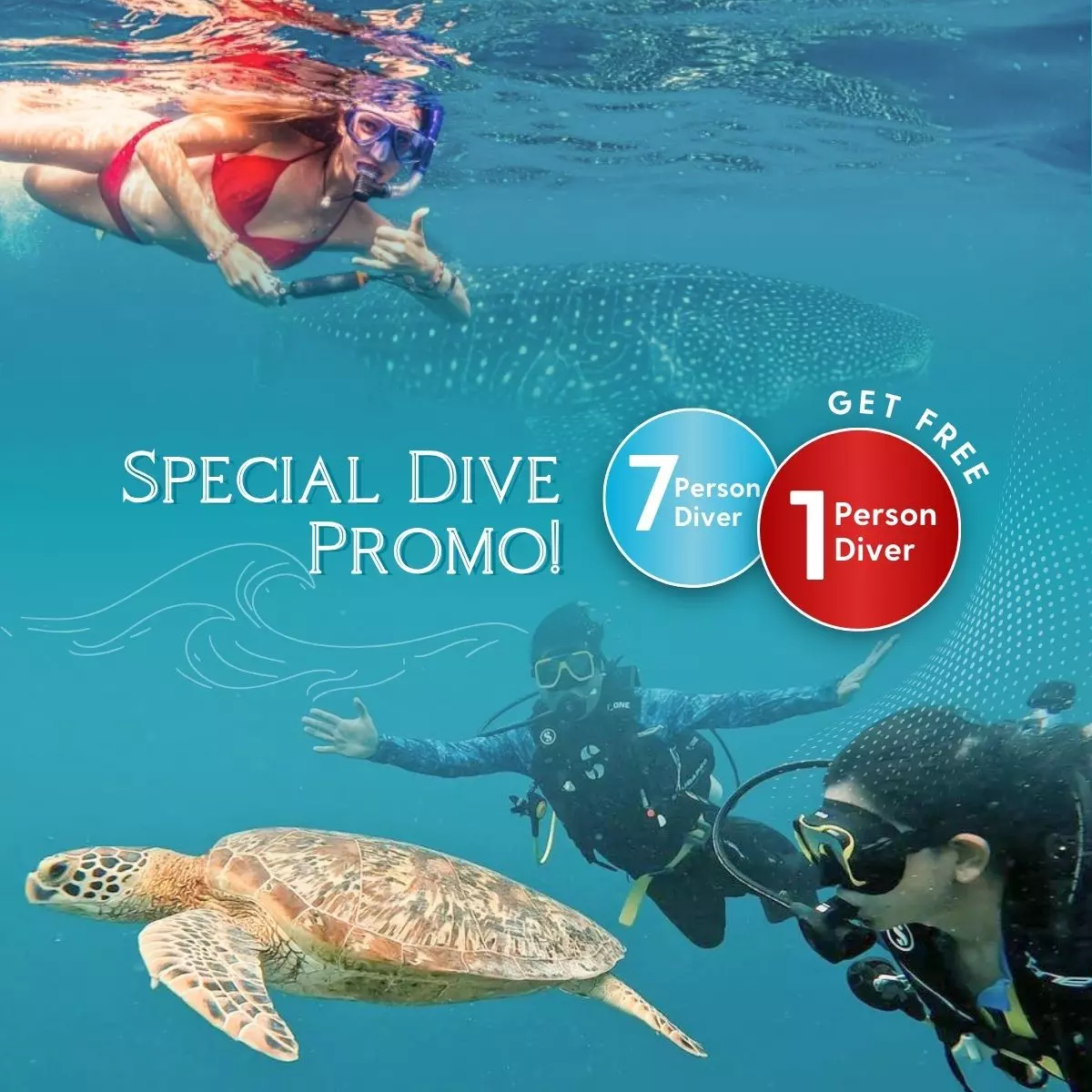 4. Special Dive Promo