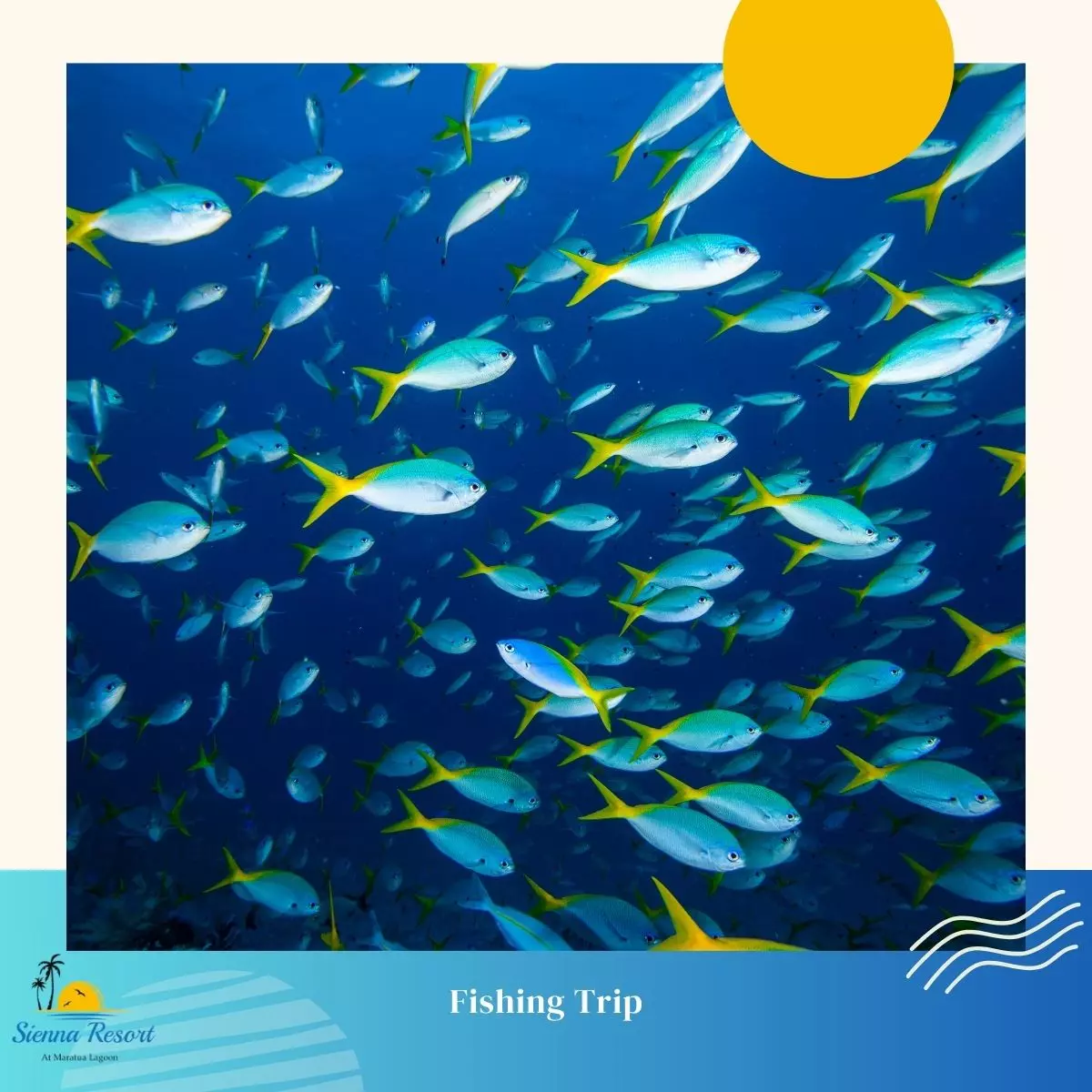 Fish Species You Can Catch