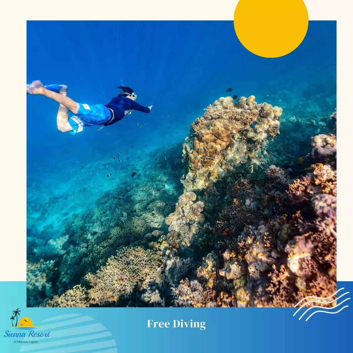 Free Diving vs Scuba Diving, What’s the Difference and Which Should You Try?