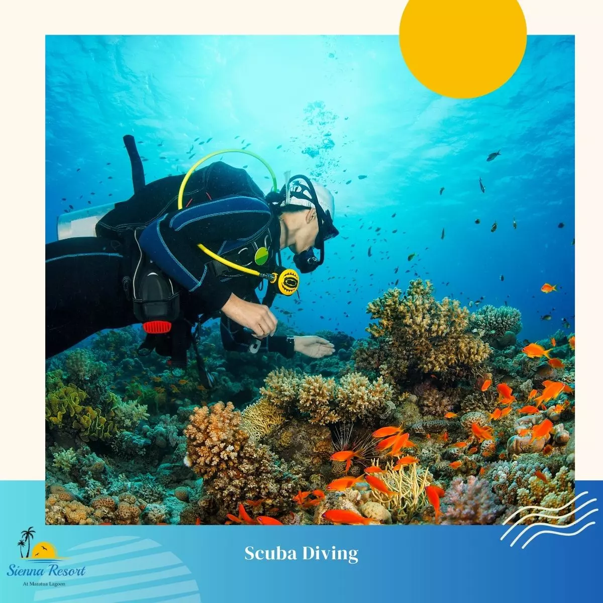 Free Diving vs Scuba Diving, What’s the Difference and Which Should You Try?