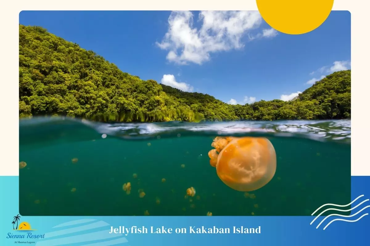 8. Jellyfish Lake, A Unique Snorkeling Experience
