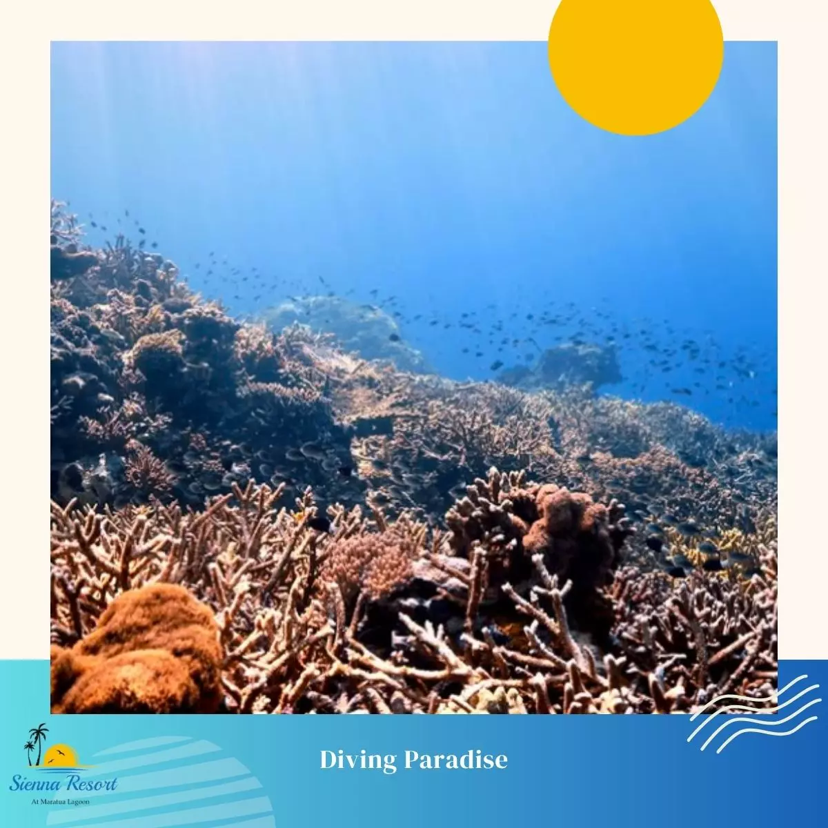 Discover a Hidden Diving Paradise in the Heart of Indonesia