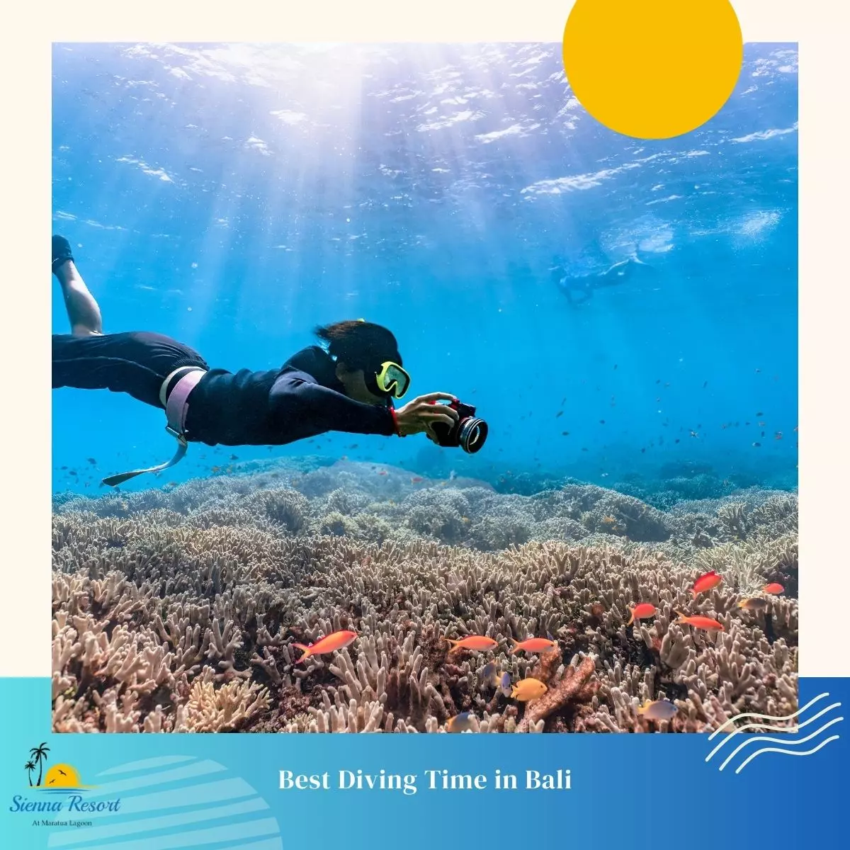 Best Diving Time in Bali