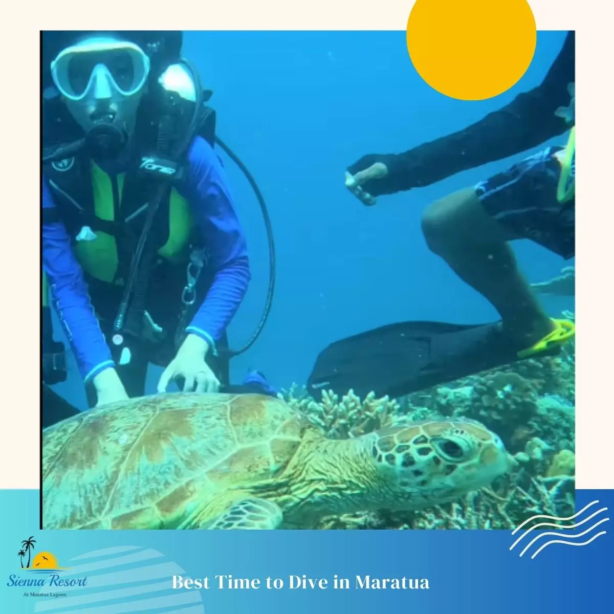 Best Time to Dive in Maratua