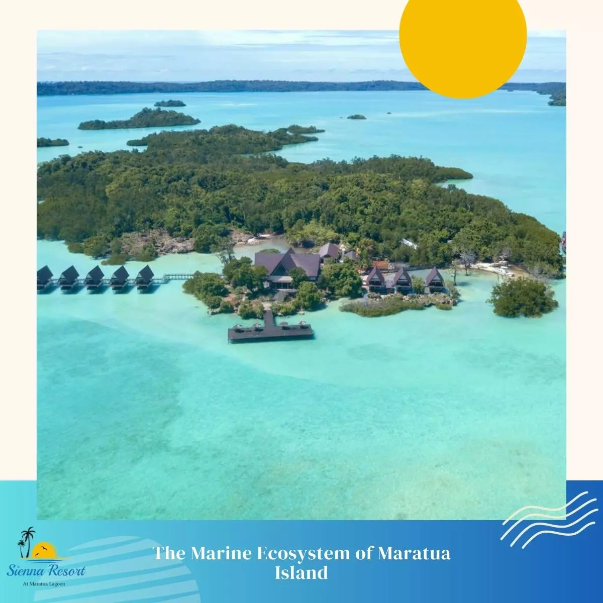 The Marine Ecosystem of Maratua Island