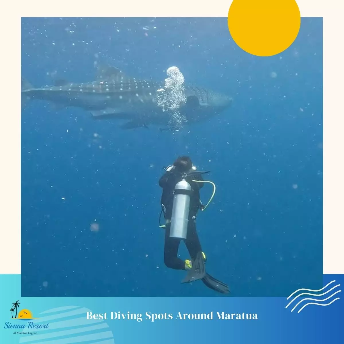 Best Diving Spots Around Maratua
