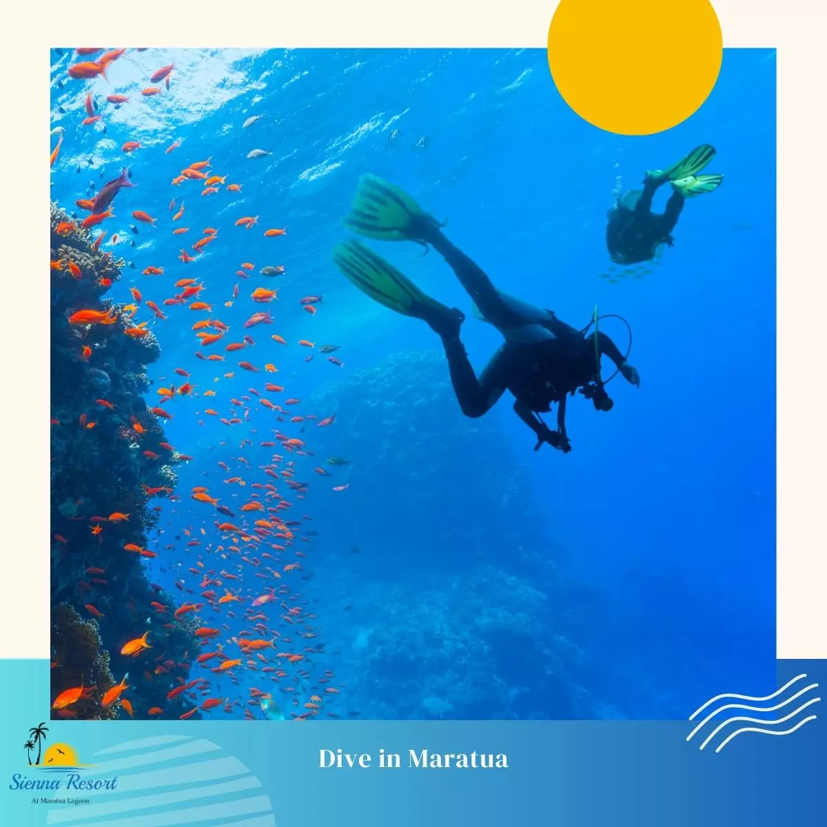 Why Dive in Maratua Island Is Truly Different