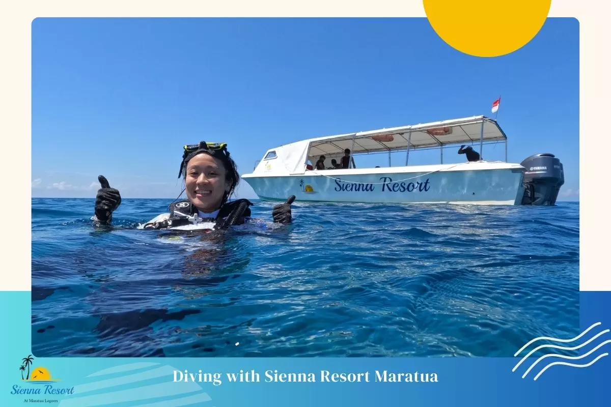 Experience Whale Shark Diving with Sienna Resort Maratua