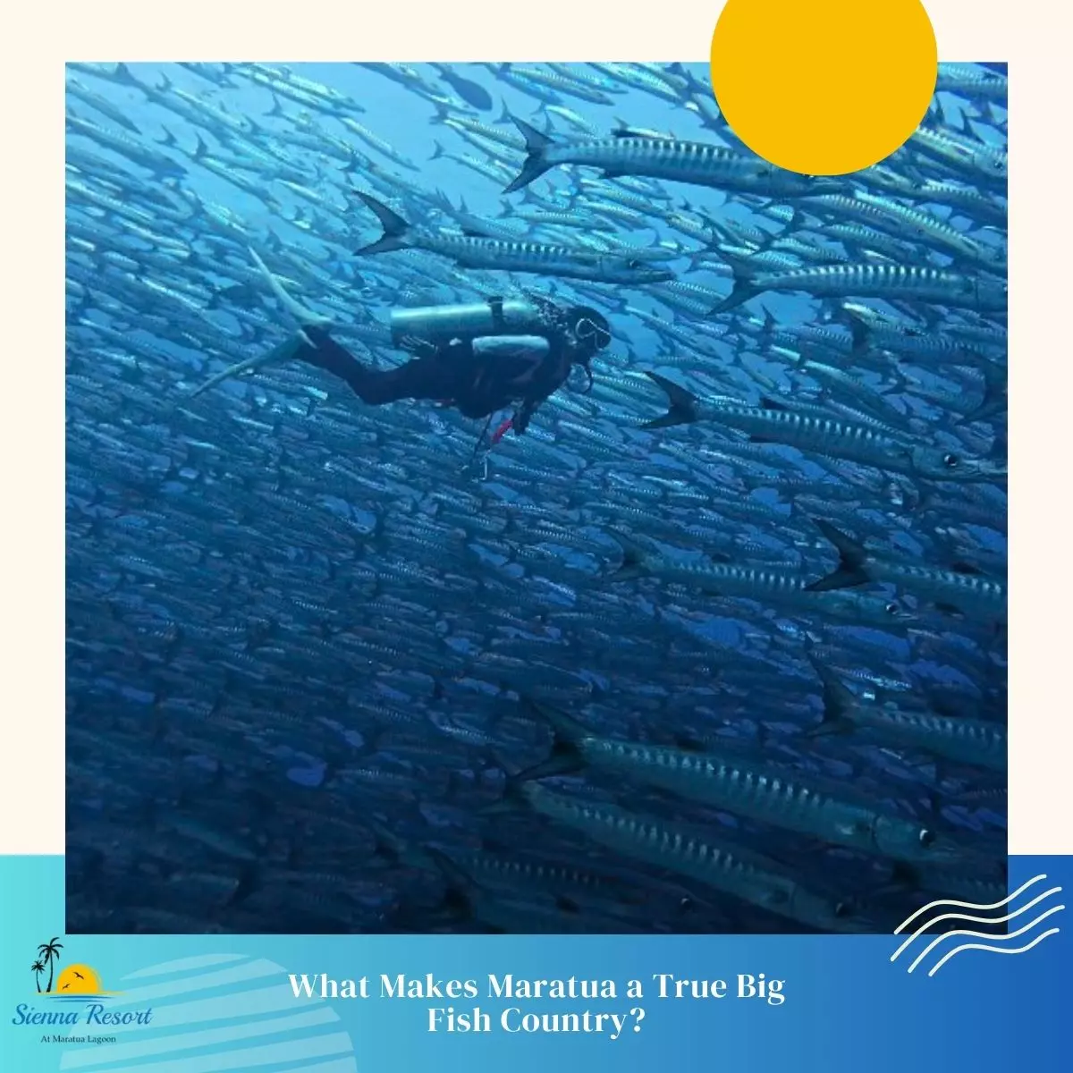 What Makes Maratua a True Big Fish Country?