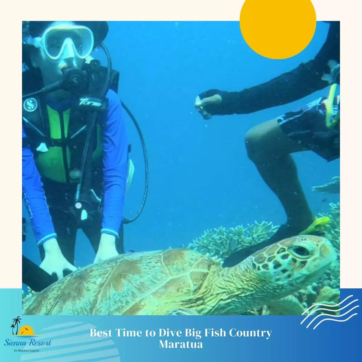 Best Time to Dive Big Fish Country Maratua
