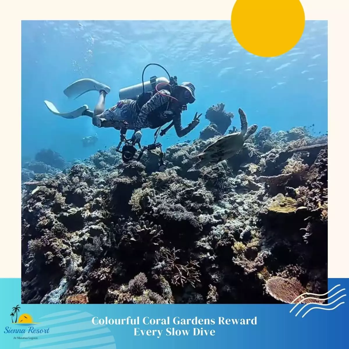 3. Colourful Coral Gardens Reward Every Slow Dive