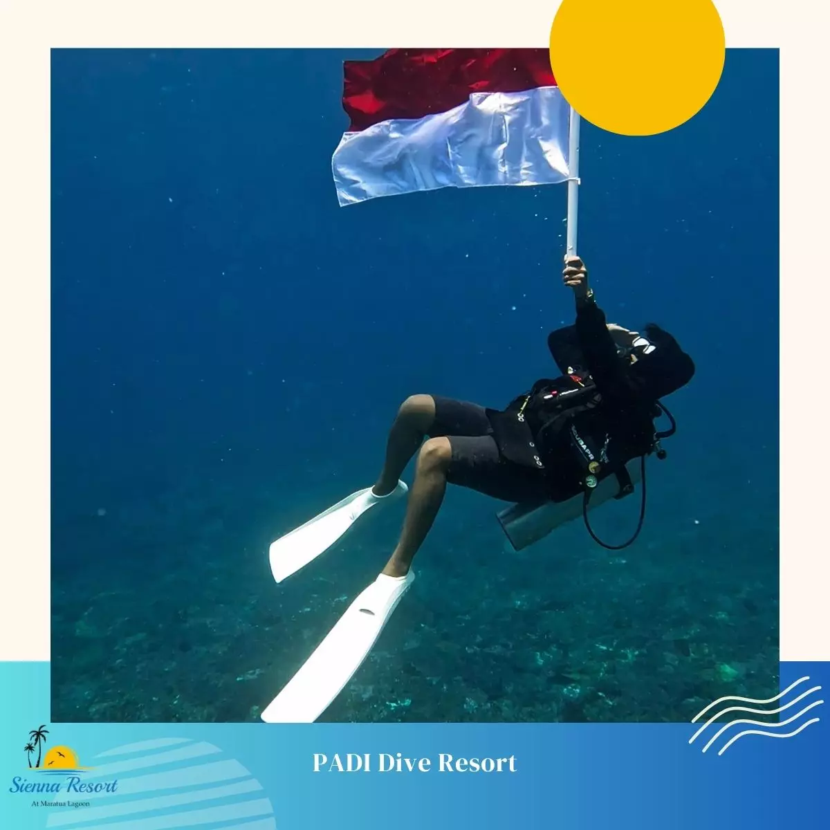 What Should You Expect From a PADI Dive Resort?