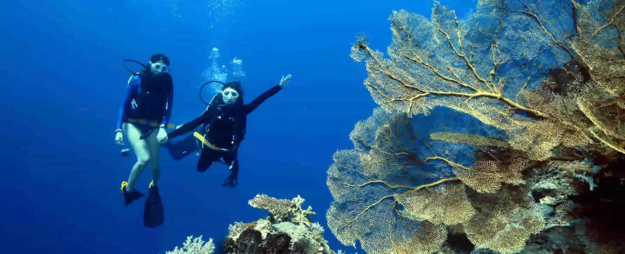 Maratua Diving
